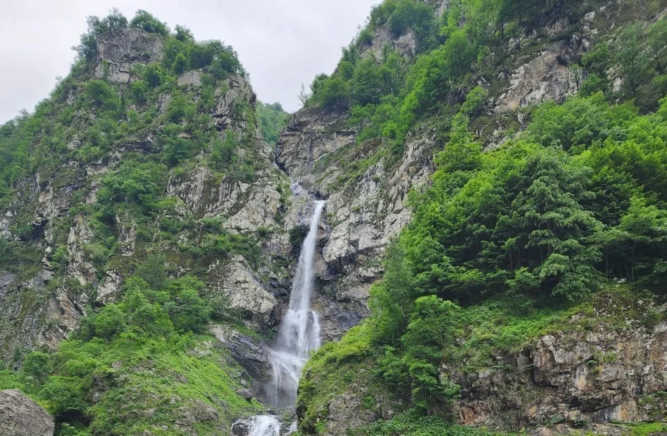 ტური პანკისის ხეობაში