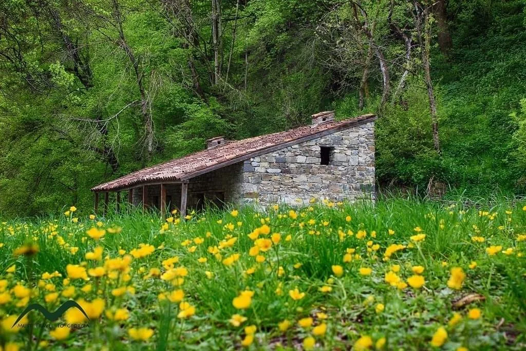 1 დღიანი ტური ფშავში